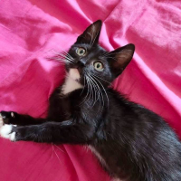 Photo de Milka