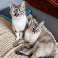 Photo de Mochi et Squishy
