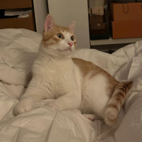 Photo de Miki