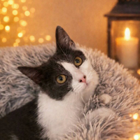 Photo de Bélize 