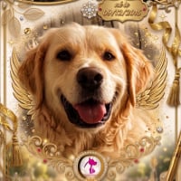 Photo de  Casper