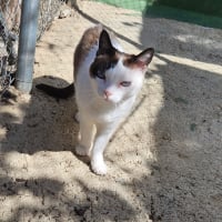 Photo de Fendi