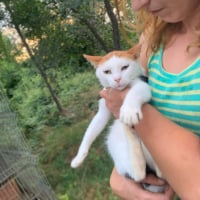 Photo de Caramel 