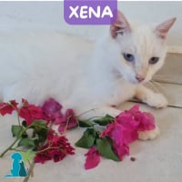 Photo de XENA