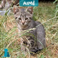 Photo de AIME