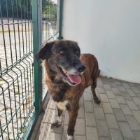 Photo de Vilma