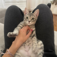 Photo de Mimi