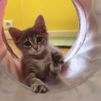Photo de MILA
