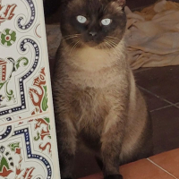Photo de Herco