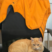 Photo de Rubio