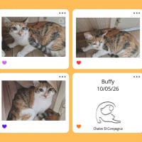 Photo de Buffy