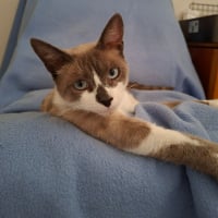 Photo de Naboo