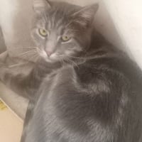 Photo de Honey