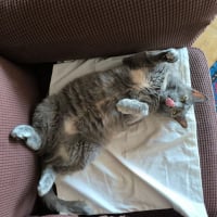 Photo de Michat