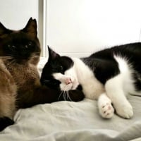 Photo de Oscar et Betty
