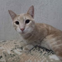 Photo de Jerez
