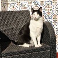 Photo de Medi