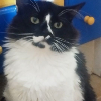 Photo de Eros
