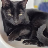 Photo de Coco