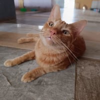 Photo de Dali
