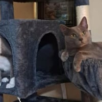 Photo de Pumita et Pavarotti 