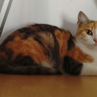 Photo de Aurore
