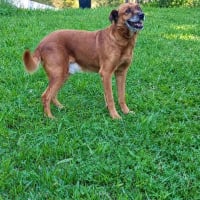 Photo de June
