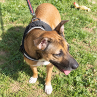 Photo de Mia - Urgent 