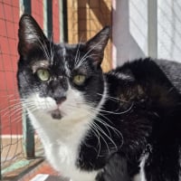 Photo de Bambú