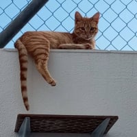 Photo de Ciro