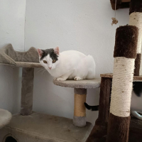 Photo de Nilo