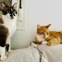 Photo de Kira et Casper