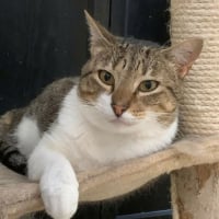 Photo de Axel