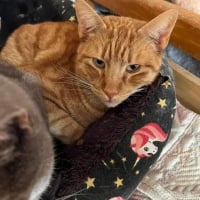 Photo de Jazz
