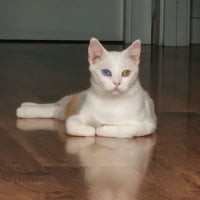 Photo de Perla