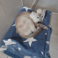 Photo de Luna