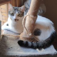 Photo de Estrella
