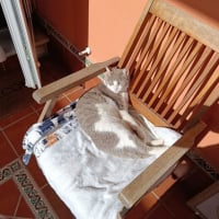 Photo de Greta