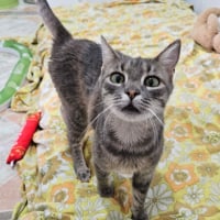 Photo de Morgana