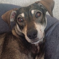 Photo de ZEUS