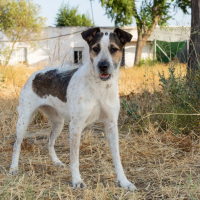 Photo de KIRA