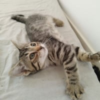 Photo de PIXEL