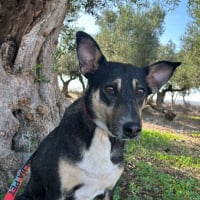 Photo de LUNA