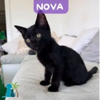 Photo de NOVA