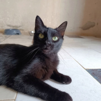 Photo de Sombra