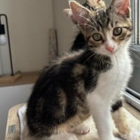Photo de Mei