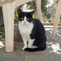 Photo de Milka