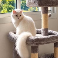 Photo de LOLITA