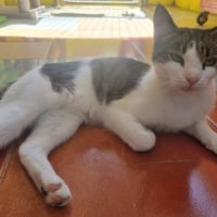 Photo de Gosolina