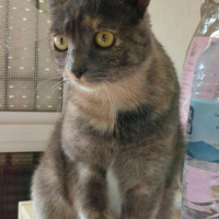 Photo de Princesa